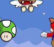 Mario Fly